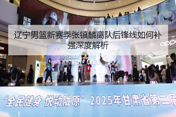 辽宁男篮新赛季张镇麟离队后锋线如何补强深度解析