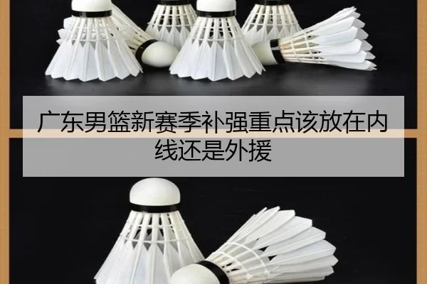 广东男篮新赛季补强重点该放在内线还是外援
